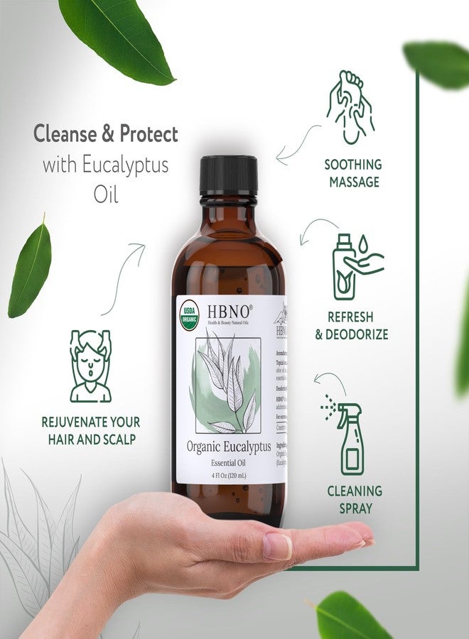HBNO California Bottled Organic Eucalyptus Essential Oil (Globulus) - 4 fl oz (120ml) - USDA Certified Organic - Ideal for Diffuser, Hair, Face, Skin Care, Aromatherapy, Scalp & Body Massage - Image 2